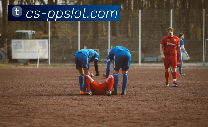 奥林匹斯之门1000官网平台生态图